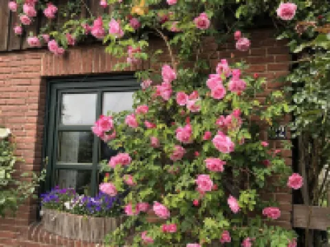 Vacation home with cottage garden on the Baltic Sea Hotels in Schonberger Strand