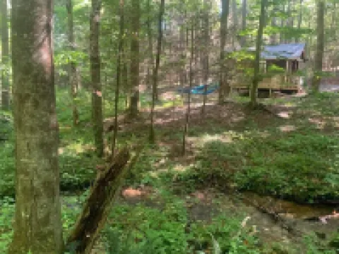 Chanterelle Tiny House