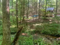 Chanterelle Tiny House