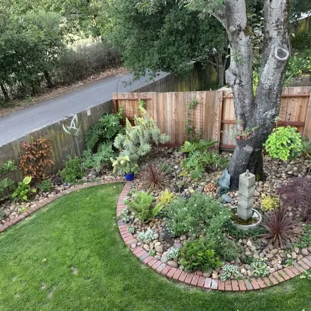 Family Friendly Sonoma County Home