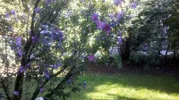 Beautiful vacation apartment near Munich