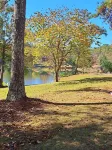 Let's Go Fishing