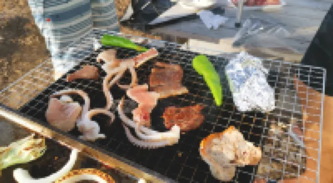 大根島心愈民宿