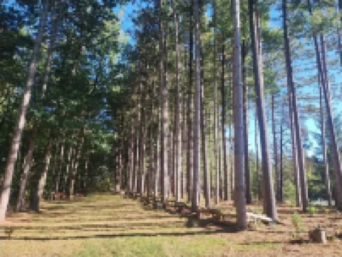Tranquil Country Stay Among Pines6 miles from Culver. 39 mile from Notre Dame. 馬歇爾縣酒店