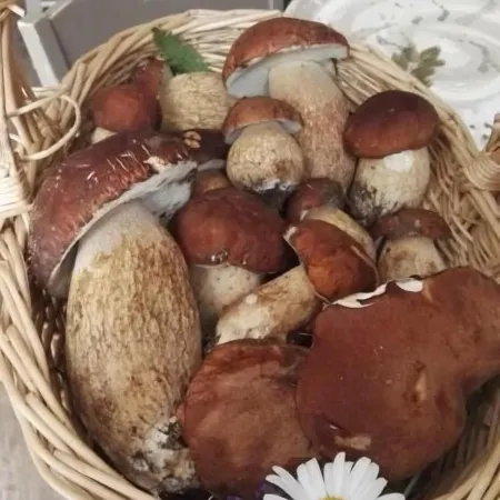 Locanda San Rocco