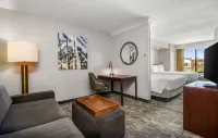 SpringHill Suites Phoenix Glendale Sports & Entertainment District Hotels in Glendale