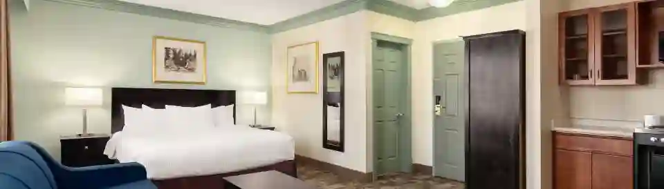 نوفا إن يلونايف