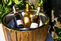 Burg & Gästehaus by Schwarzenstein Hotels in Geisenheim