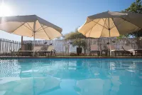 Dornhügel Guestfarm - Pools