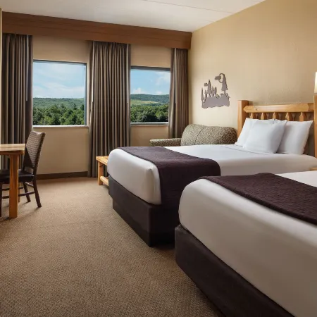 Great Wolf Lodge New England Отели в г. Вустер Каунти