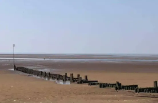 Pet-Friendly - 2 Bedrooms Bungalow Beach - Parking