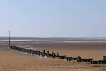 Pet-Friendly - 2 Bedrooms Bungalow Beach - Parking Отели рядом с достопримечательностью «Макдоннелл Караванс»