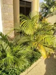 Caran Apartments
