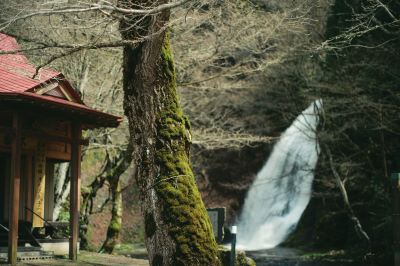 ホテル周辺 白神山地　ホテルゆとりあ藤里の写真