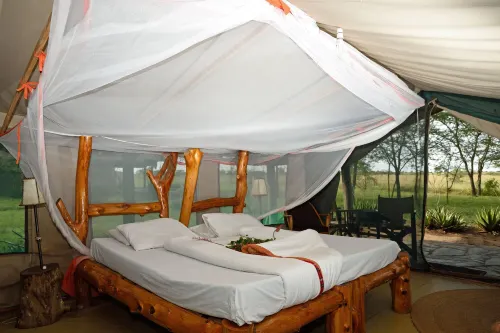 Ikoma Bush Camp