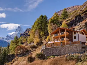Luxury Chalets & Apartments by Mountain Exposure