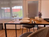 Premont Studios Ghimbav Hotels in Cristian