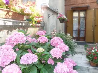 B&B la Nara Hotels in Venaria