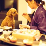A Stylish Inn for You and Your Beloved Dog. D+Kirishima Hotels in Kirishima