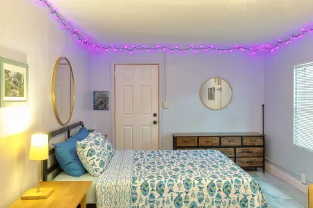 Peaceful Parrot and Parakeet