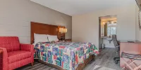 Skyview Inn - Chambre Lit Queen-Size