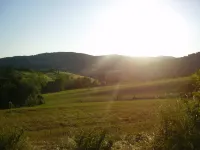 Getaway Amidst Vineyards
