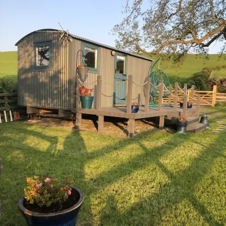 The Peacock Shepherds Hut at Hafoty Boeth