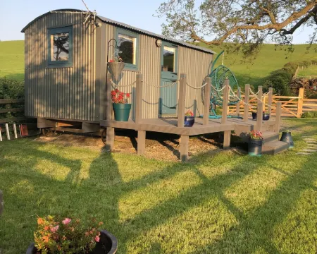 The Peacock Shepherds Hut at Hafoty Boeth Hotels in Corwen