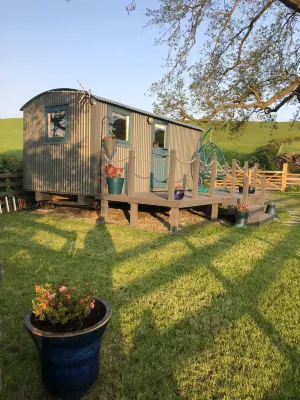 The Peacock Shepherds Hut at Hafoty Boeth Hotels in Corwen