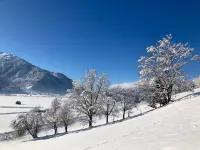 Chalet in Mittersill Near Ski Lift