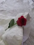 Whole Hearts Bed and Breakfast Hotels in Duncan