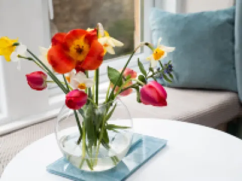 Bees Townhouse- Cupar Hoteles en Cupar