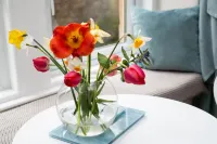 Bees Townhouse- Cupar