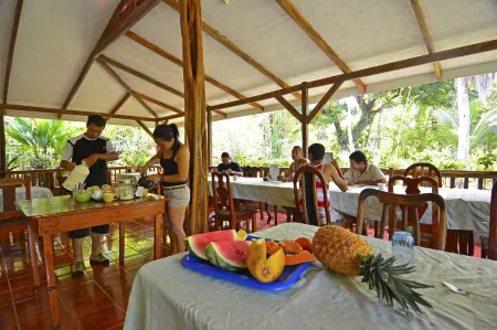 Poor Man's Paradise Lodge