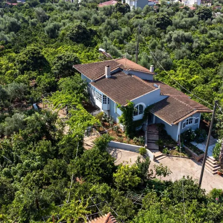 Serene Seaside Bliss - Lush & Secluded Garden Oasis