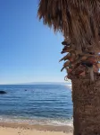 Violeta Hvar - Ocean View