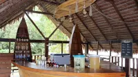 On Vacation Amazon - bar