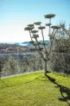 Villa Coppitella, Rooms & Apartments فنادق في Chiesiola