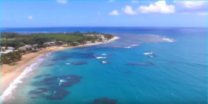 Breezy Beachfront Apt. View of Paradise