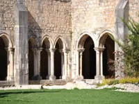 Tagus Host - 40308Al- 44211Al Hotels in Santarem