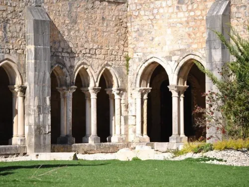 Tagus Host - 40308Al- 44211Al - 2 Sao