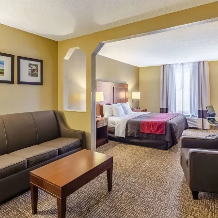 Comfort Inn & Suites Christiansburg I-81