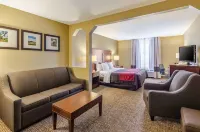 Comfort Inn & Suites Christiansburg I-81 Hotels in Montgomery County