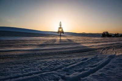 ホテル周辺 笑顔咲く宿 めぐみ雪の写真