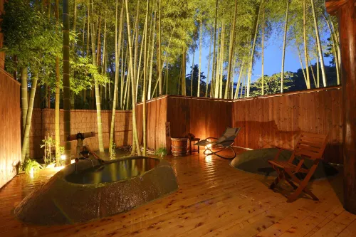 Tatsuta Ryokan - Hot Springs