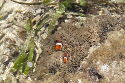 その他 リザンシーパークホテル谷茶ベイの写真