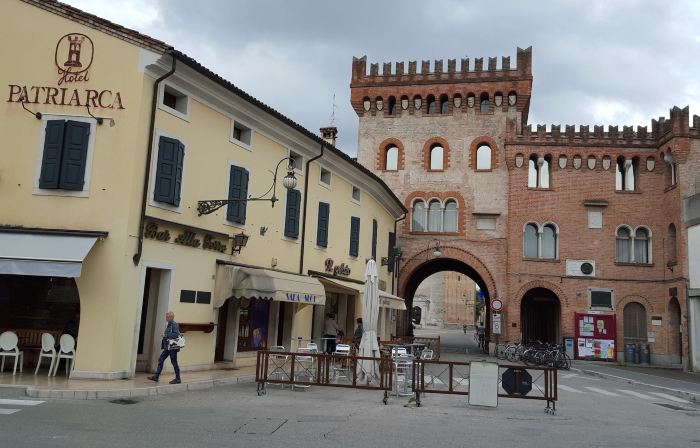 Patriarca and Wellness