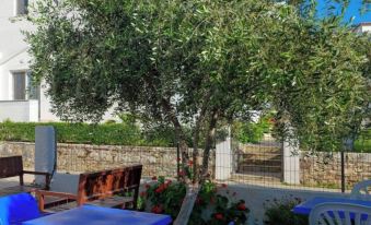 Central Garden Residence Sofia - Free Parking