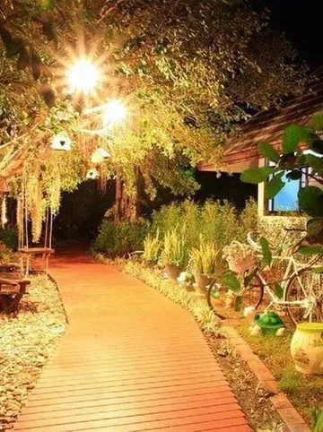 รูปภาพของไร่แสวงสุข88