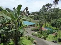 Lucky Bug Bed and Breakfast Hotels in Nuevo Arenal